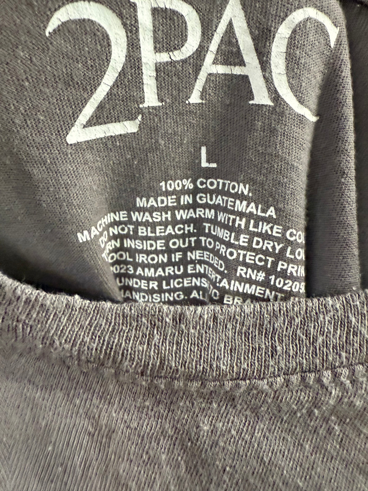 Vintage Charcoal-gray Tupac Shakur graphic t-shirt size large