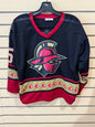 Vintage Gwinnett Gladiators youth XL jersey ECHL era black, red, and gold