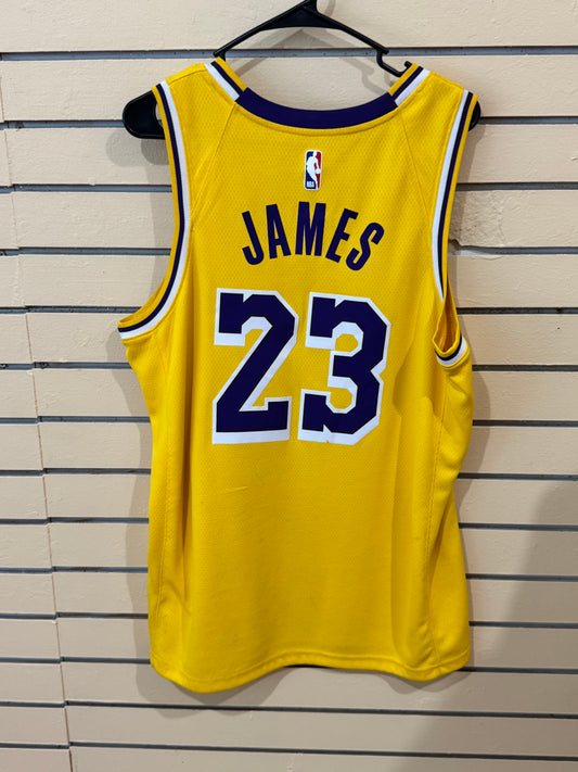 Nike Los Angeles Lakers LeBron James #23 Icon Edition Swingman Jersey size 48 large gold purple