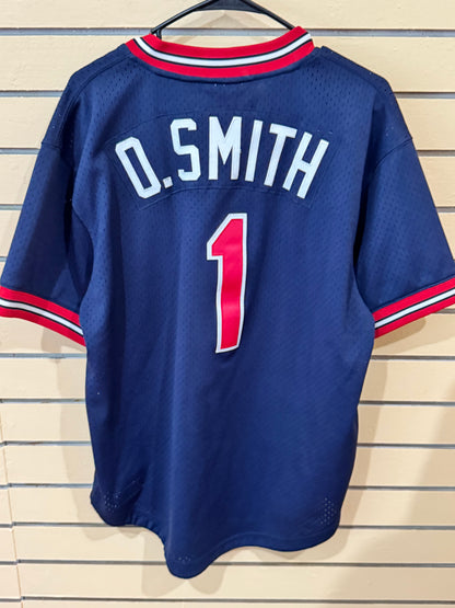 Mitchell & Ness St. Louis Cardinals Ozzie Smith 1994 Mesh Batting Practice Jersey
